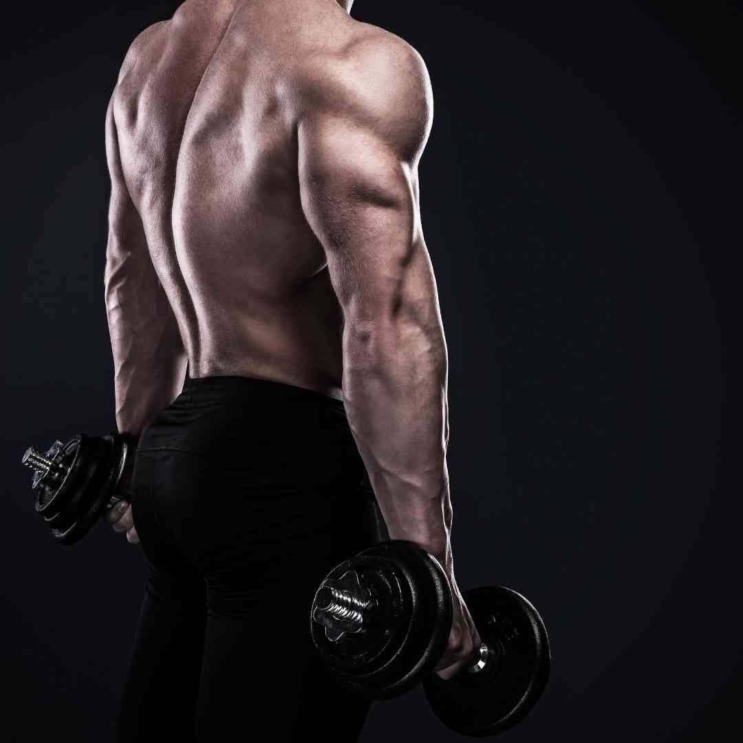 19 top Variations of Rows for A Complete Back Workout ideas in 2024