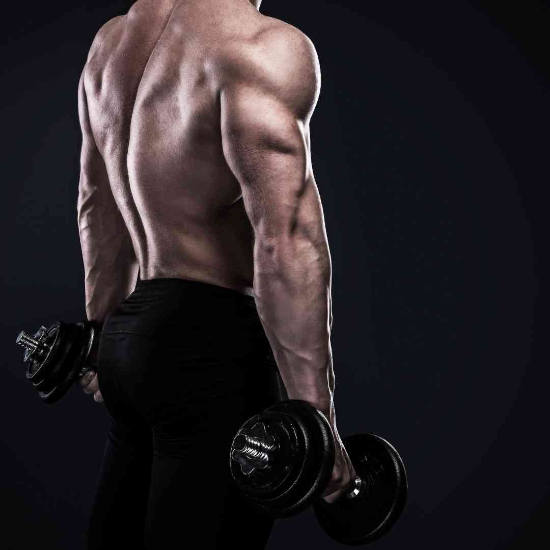 dumbbell rows