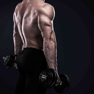 dumbbell rows