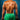 dumbbell trap exercises