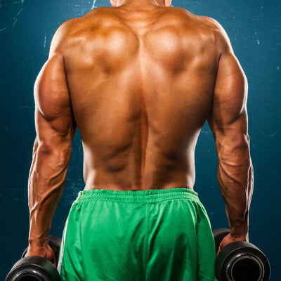 dumbbell trap exercises