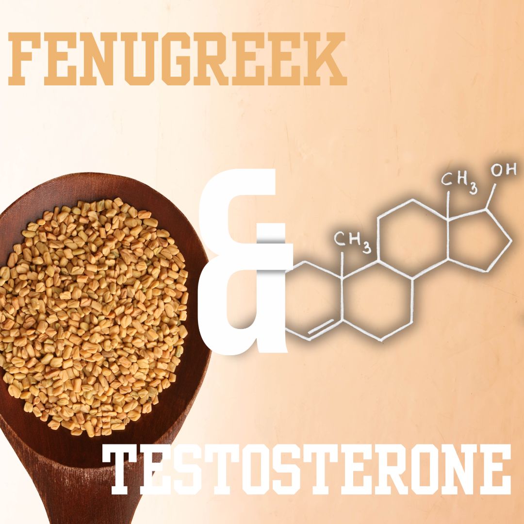 fenugreek for testosterone