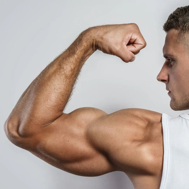 Our Favorite Arm Day Workout For Big Arms