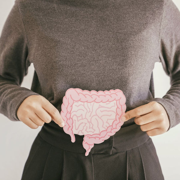 gut-health-supplements