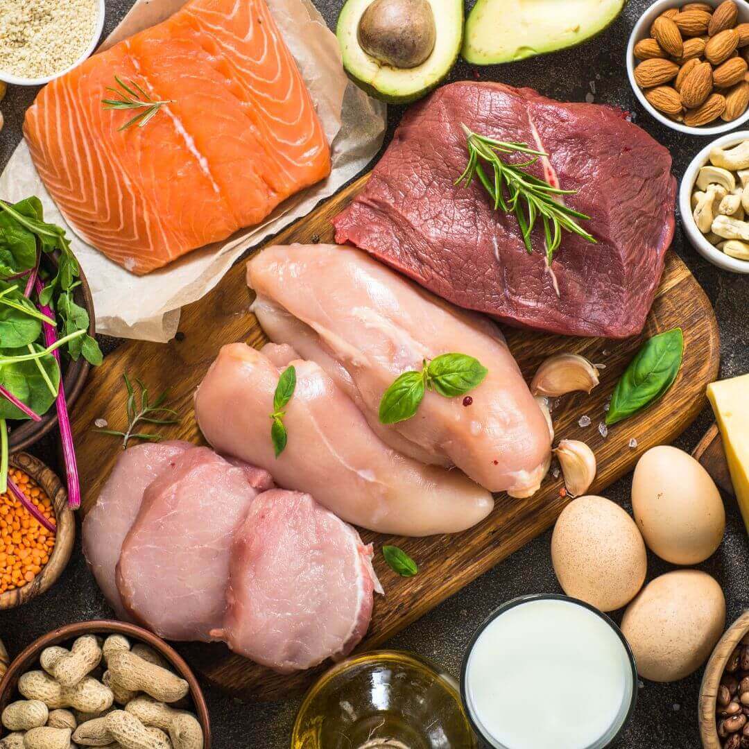 high protein diet