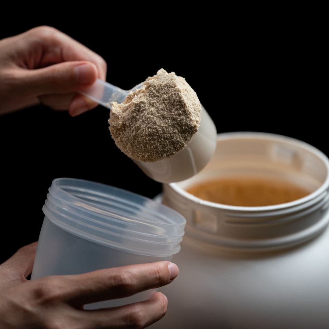 how is protein powder made