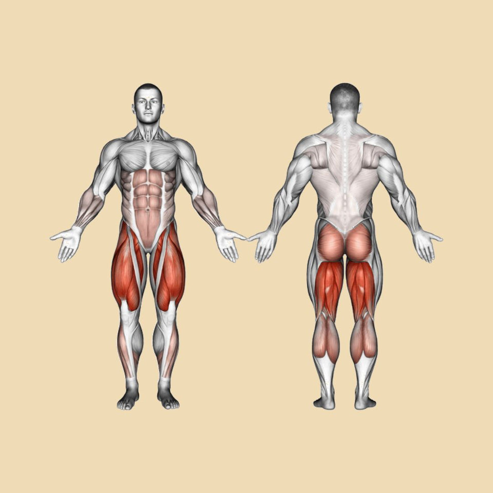 how many leg exercises