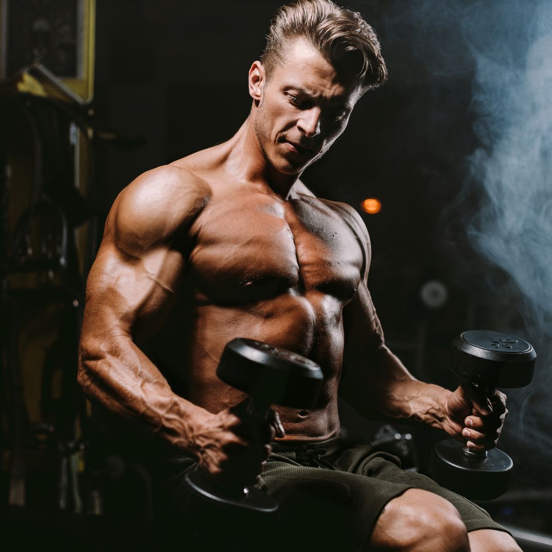 11 Best Dumbbell Arm Workouts For Every Levels - BoxLife