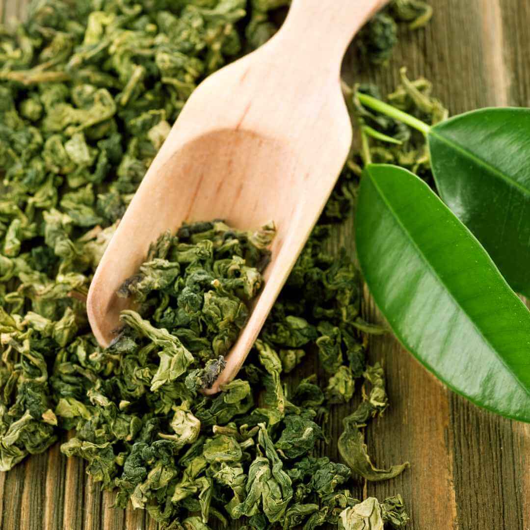 is green tea good for weight loss
