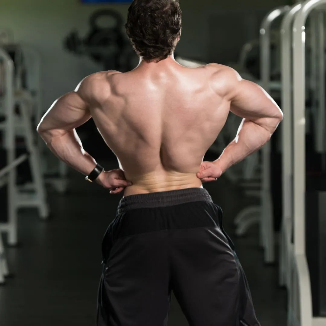 wide-lats