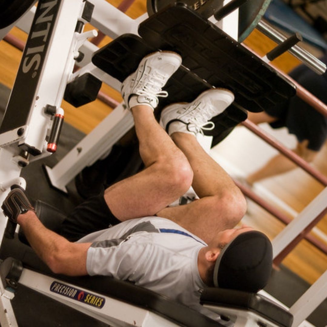 leg press alternatives