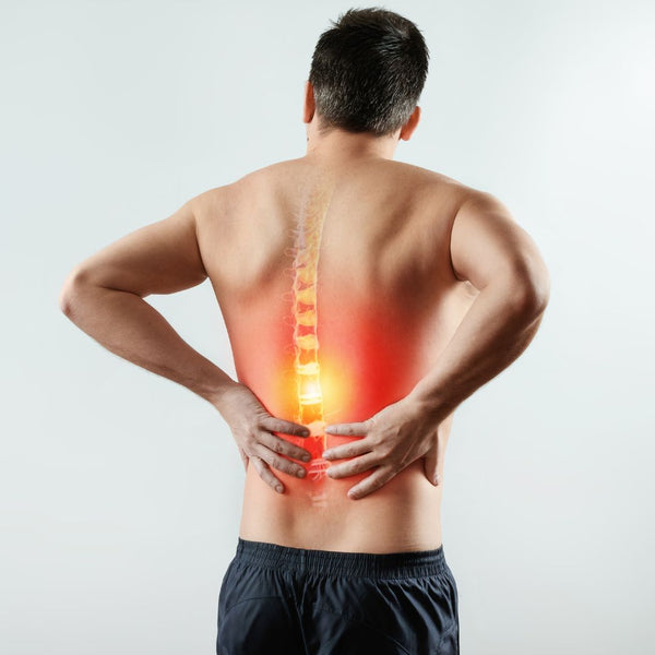 exercises for lower back pain