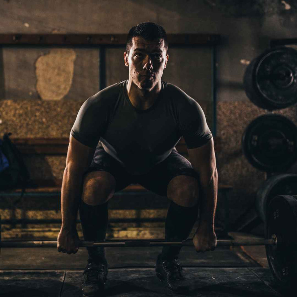 lower back workouts