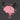 mind muscle connection