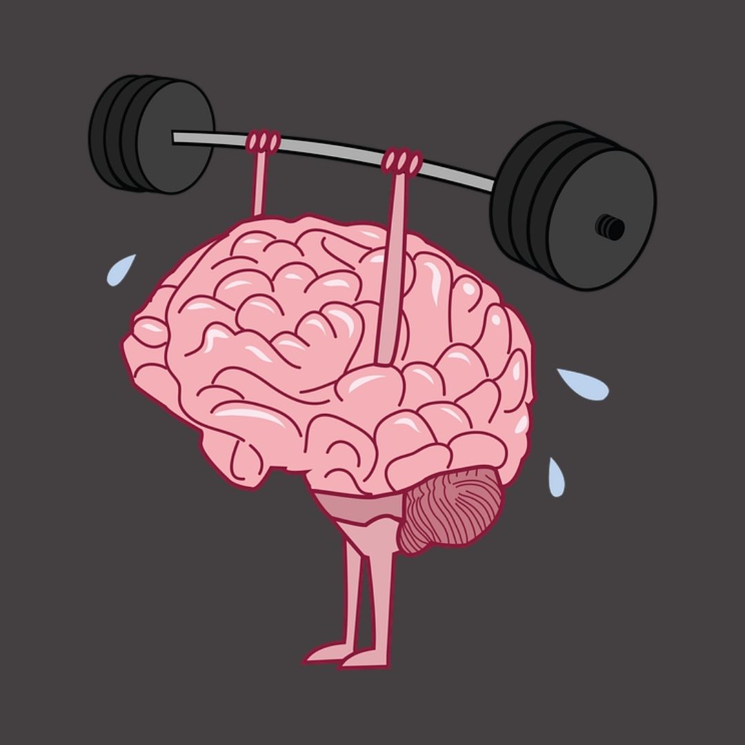 mind muscle connection