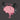 mind muscle connection