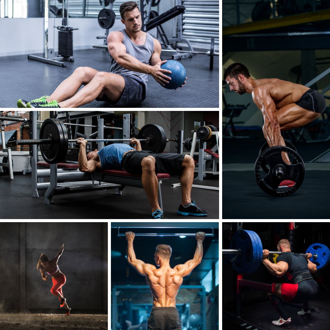 Everyday Movement Patterns Movement Patterns: The Key To Effective Exercise - SET FOR SET