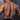 multifidus exercises