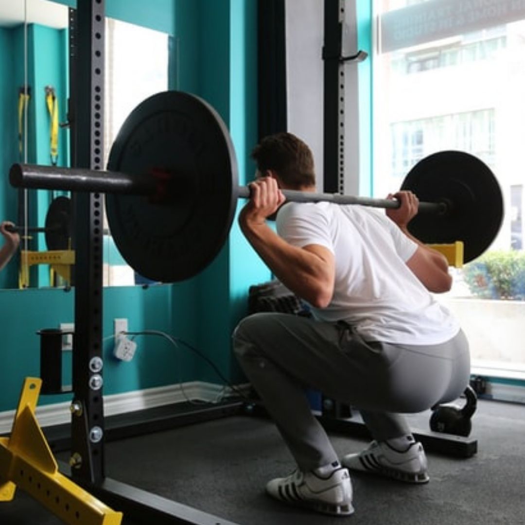 pause squats