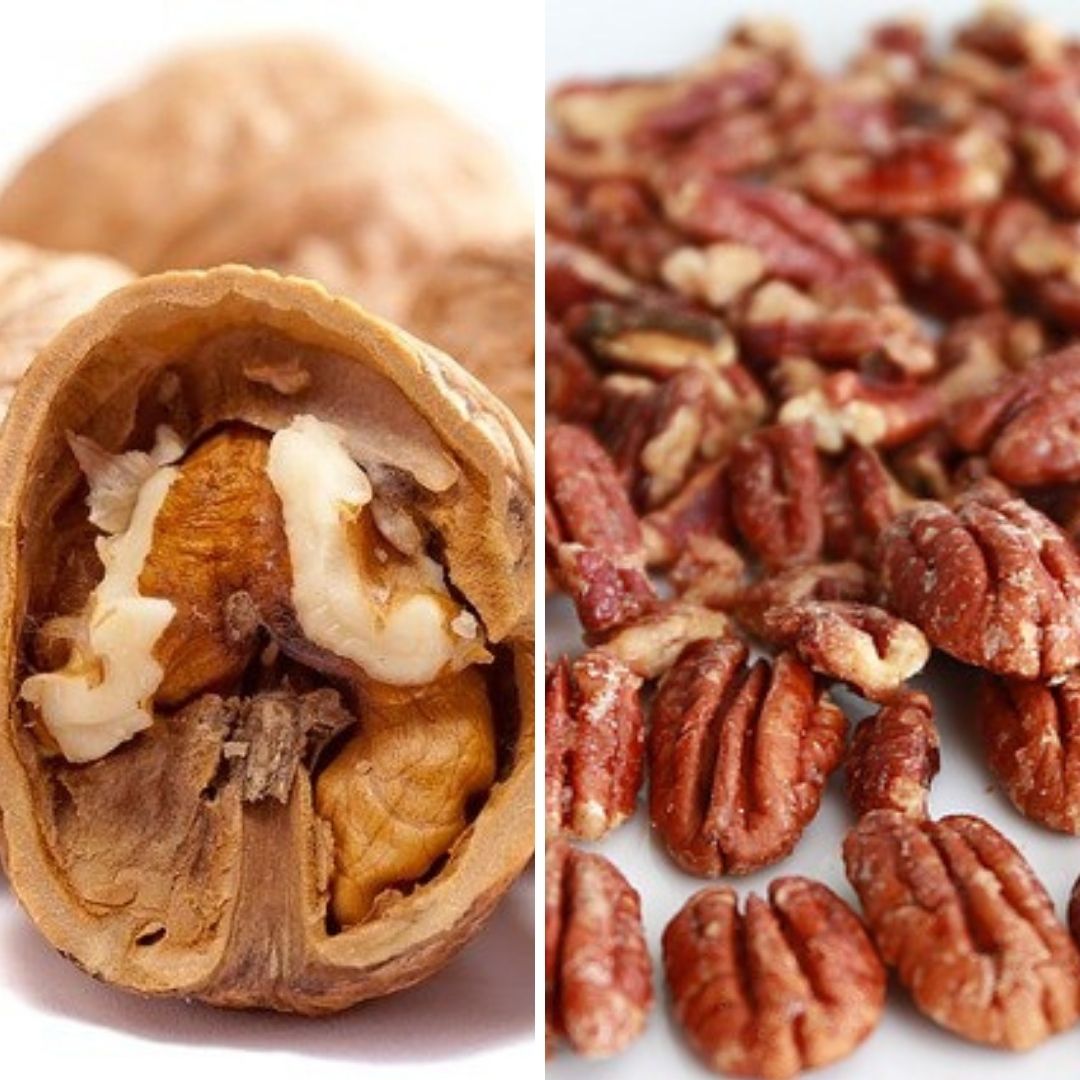 pecan vs walnut