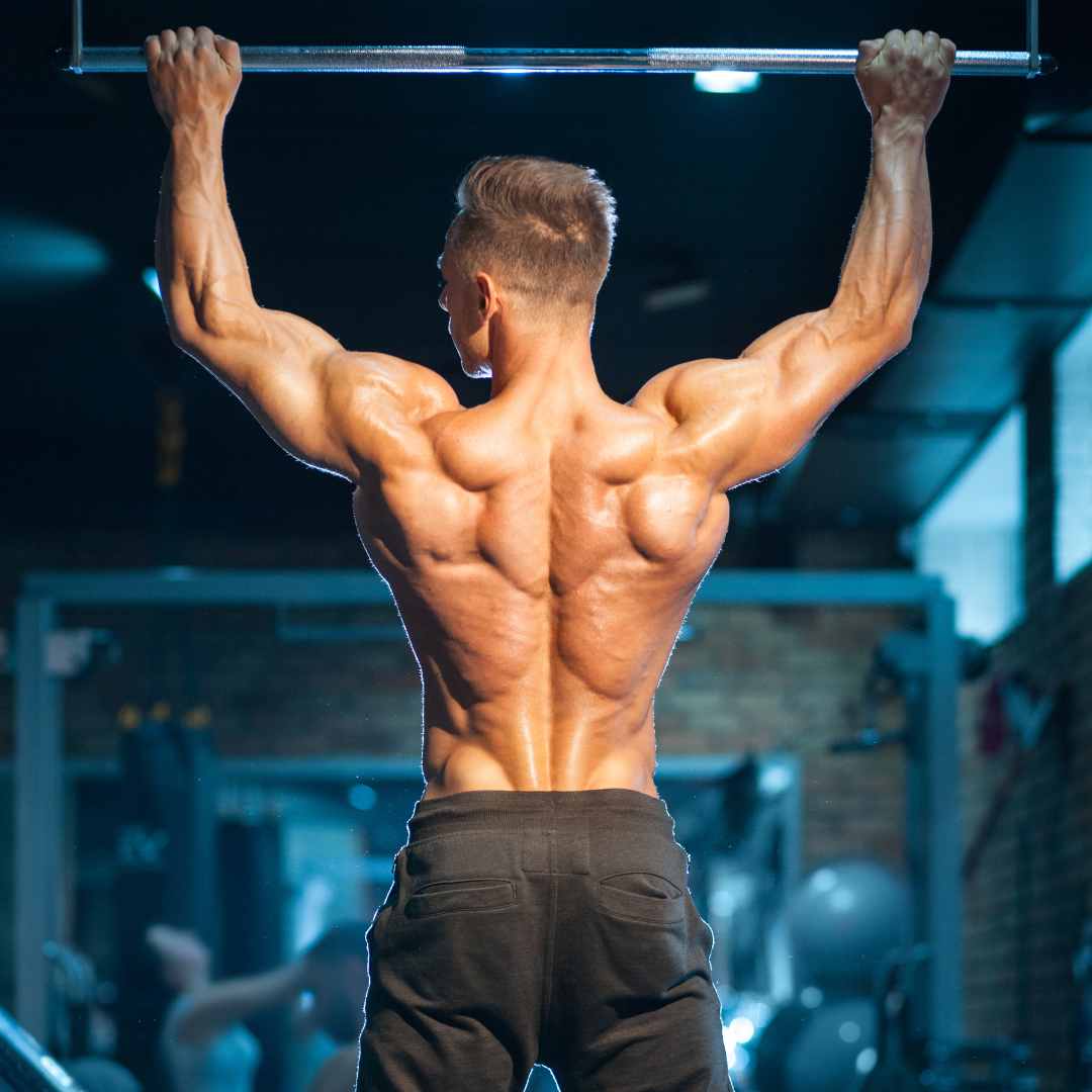 19 Pull Up Variations From Beginner to Advanced – SET FOR SET