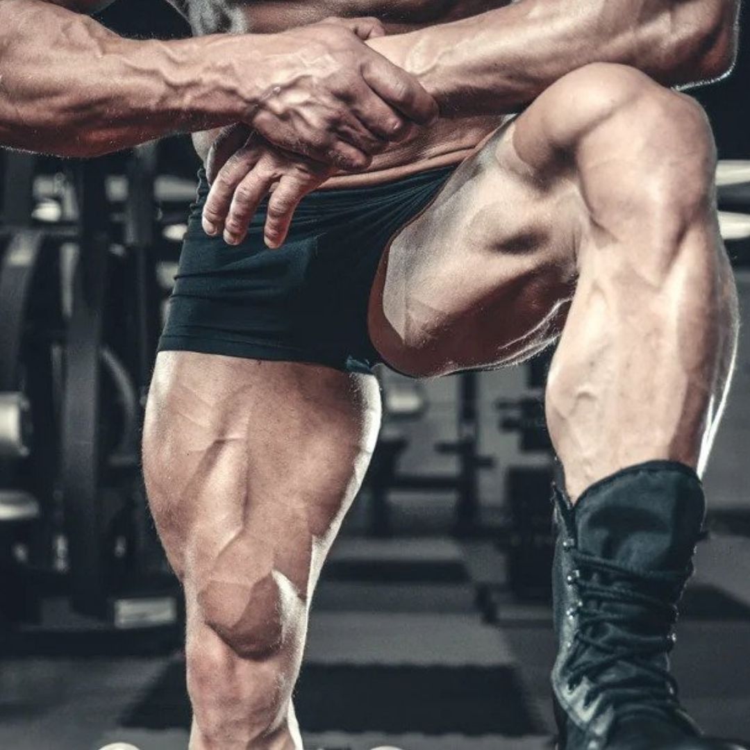 quad exercises