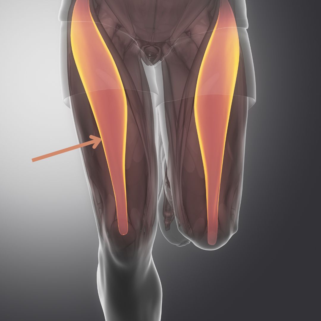 6 Exercises that Best Target the Rectus Femoris – SET FOR SET