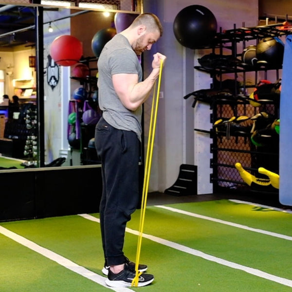 resistance band bicep exercises