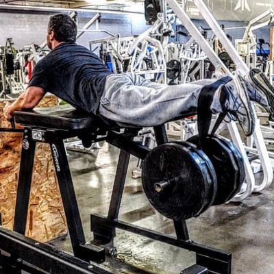 reverse hyperextensions