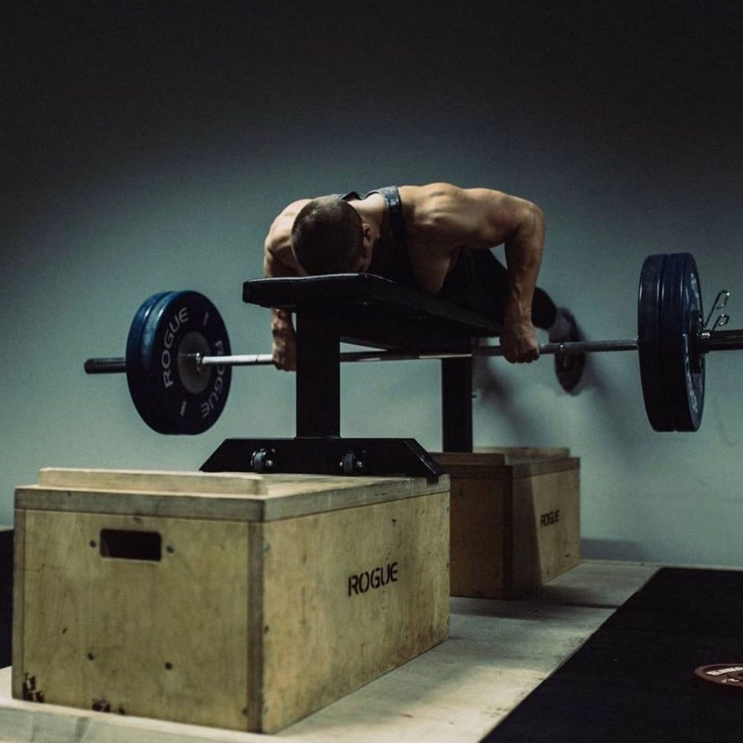 Are Seal Rows the Back Exercise Your Program is Missing? - SET FOR SET