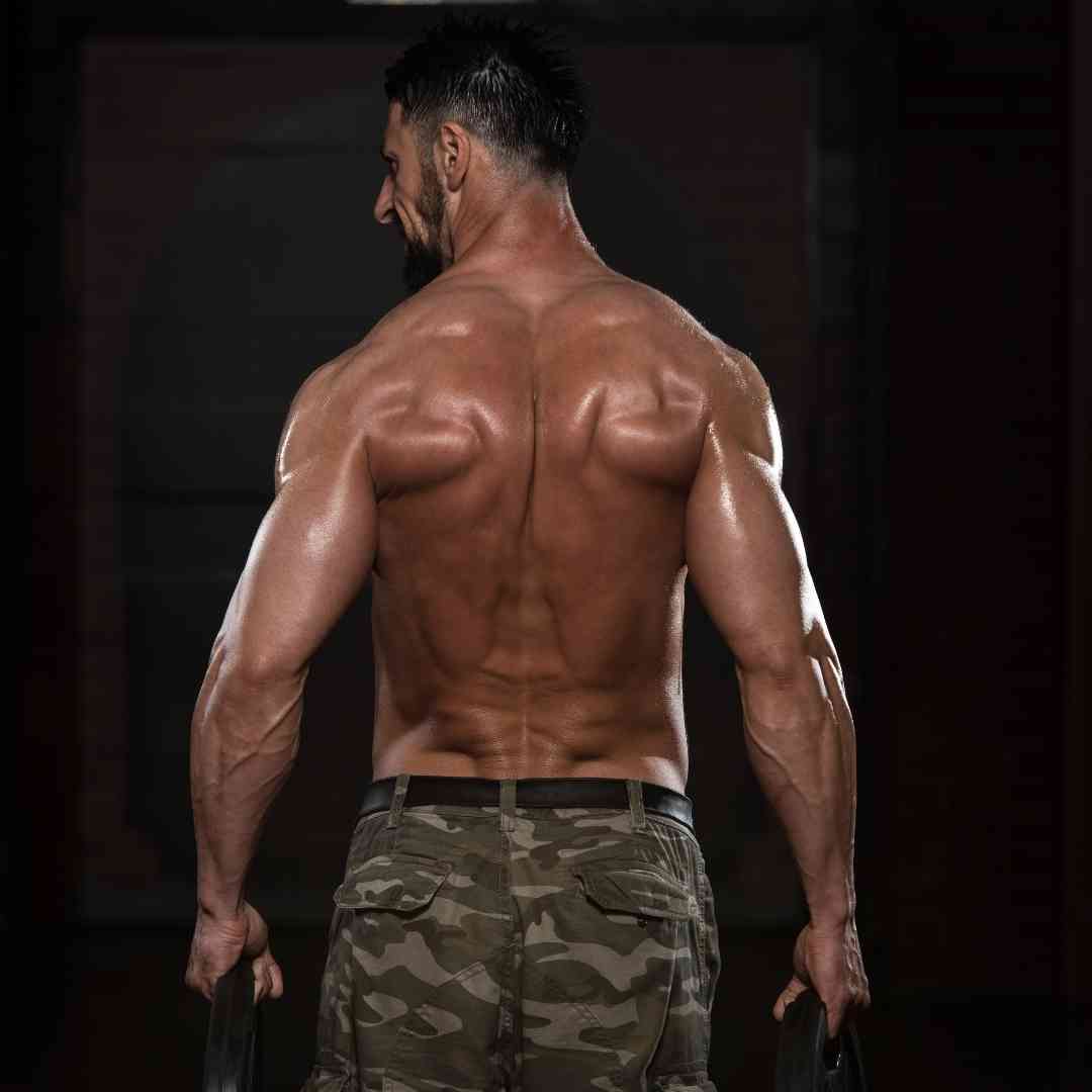 Shrug exercise sales at home