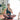 somatic exercises
