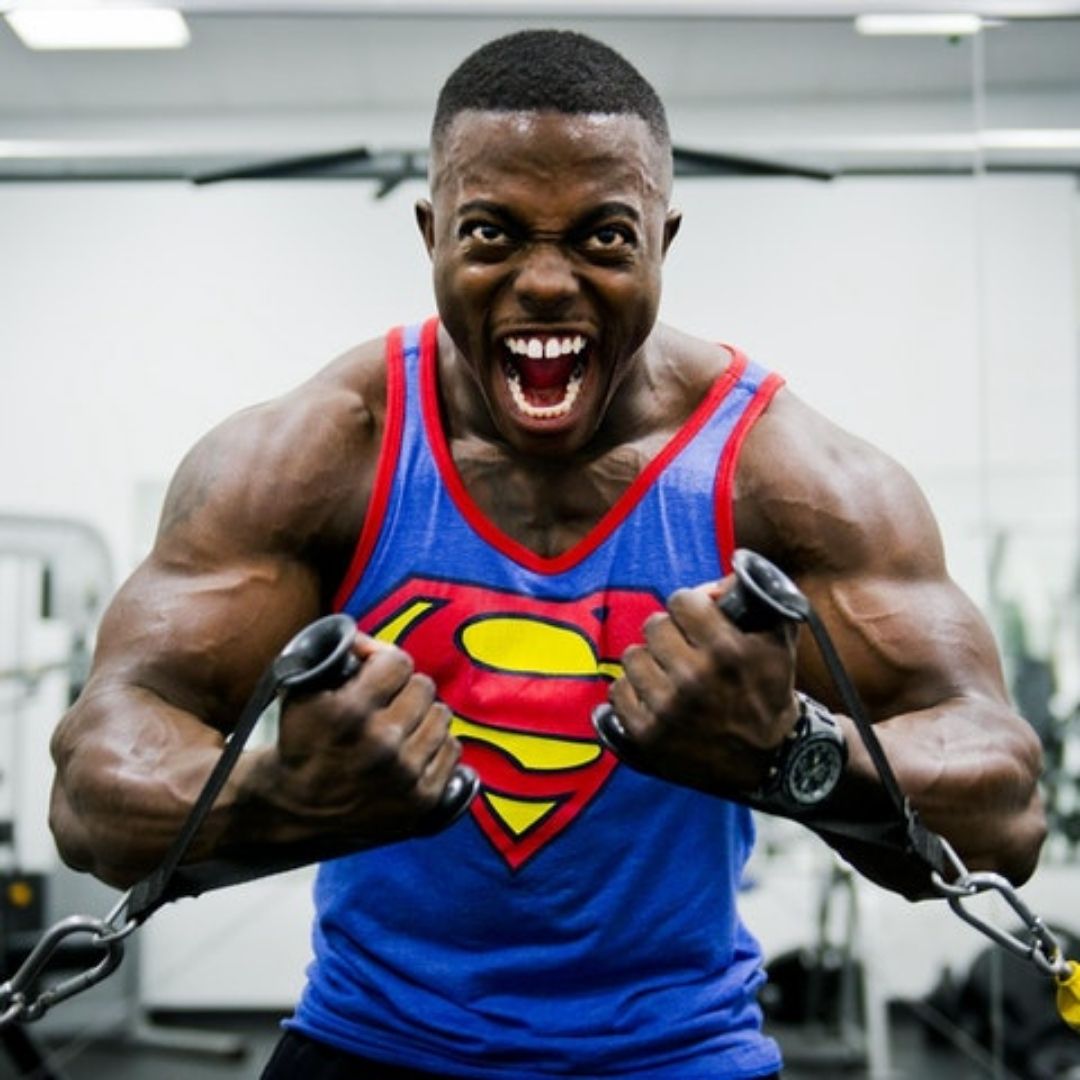 train each muscle group twice a week
