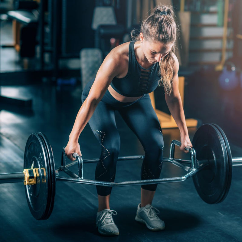 trap bar squat vs trap bar deadlift