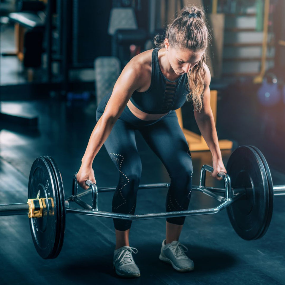 trap bar squat vs trap bar deadlift