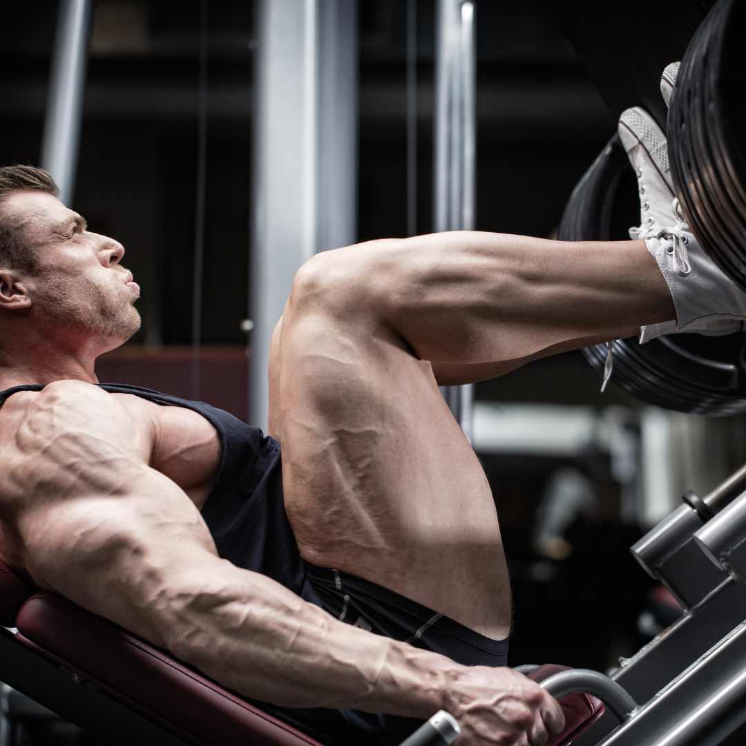 7 Different Types Of Leg Press Machines SET FOR SET 7 different types of leg press machines set for set