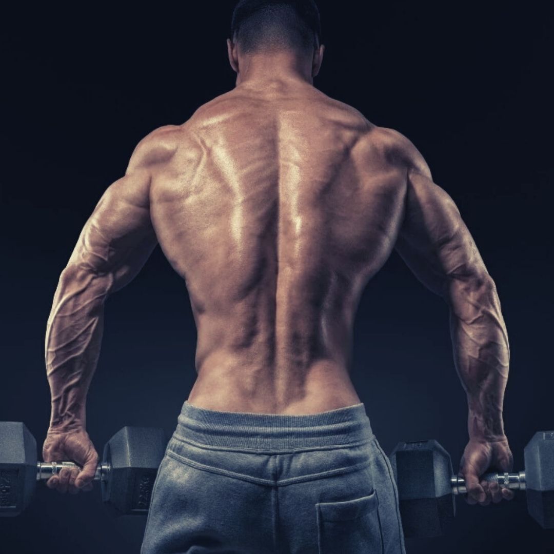 Best Exercises for a Thick Upper Back - SET FOR