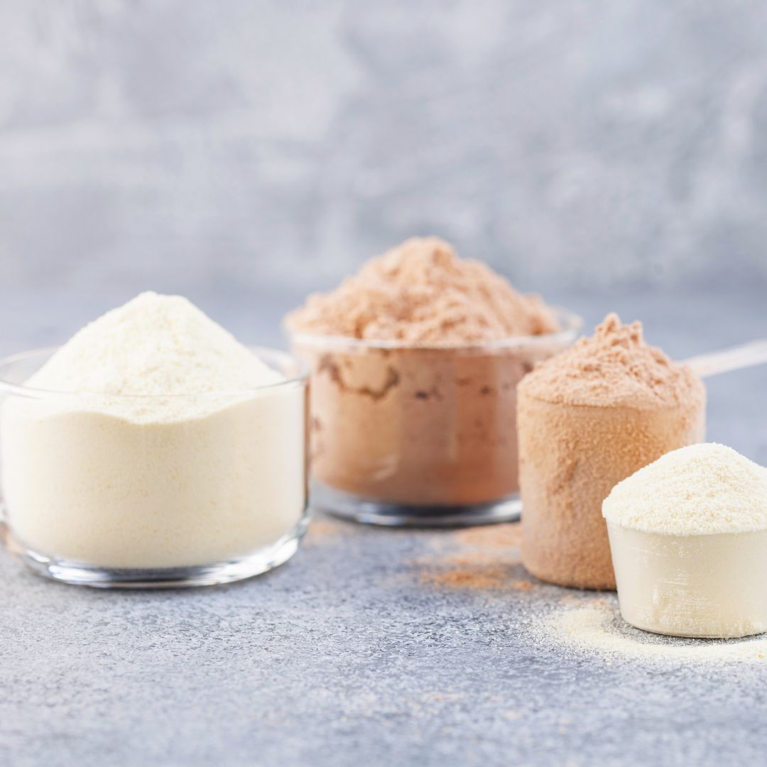 what is the best type of protein powder