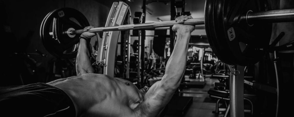 Exercise Library & Database: 1,000+ Exercises - SET FOR SET