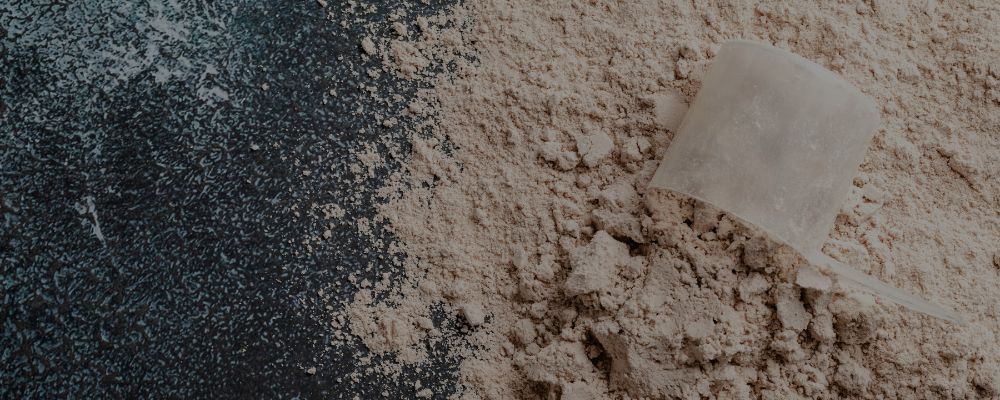 high_protein_recipes